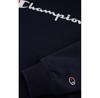 Champion Hooded Sweatshirt