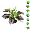 Simulated Reptile Plants For Terrarium Decor, Realistic Artificial Water Plants With Base Amphibian Habitat Decoration, Snake Tortoise Tank Accessorie