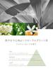 Lavons Diffuser Shiny Moon Scent 120ml