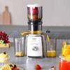 DAEWOO DYYZ-08Y25 Automatic Slow Juicer - Nebula White CN plug (adapter included)