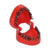 Denture Drill Bit Holder Teeth Model Shaped Full Opening Screwdriver Bit Organizing Holder with 28