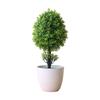 Simulazione Pianta Verde Vaso Ornamenti Combinazione Piante Ornamenti da Tavolo per Interni Simulazione Pianta Fiore Artificiale Bonsai