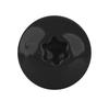 Self-tapping screws GT5 PH 5.5x19mm RAL 9005