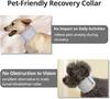 Soft Foam Lined Elizabethan Dog Collar Orthopedic Puppy Neck Brace Guard Protector After Surgery Recovery Collar for Small Dogs