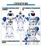 Topsky Electric Robot, Remote Controlled Toy, Multifunctional Robot, Hand-Controlled Humanoid Robot, Programmable, USB Rechargeable, Walking,