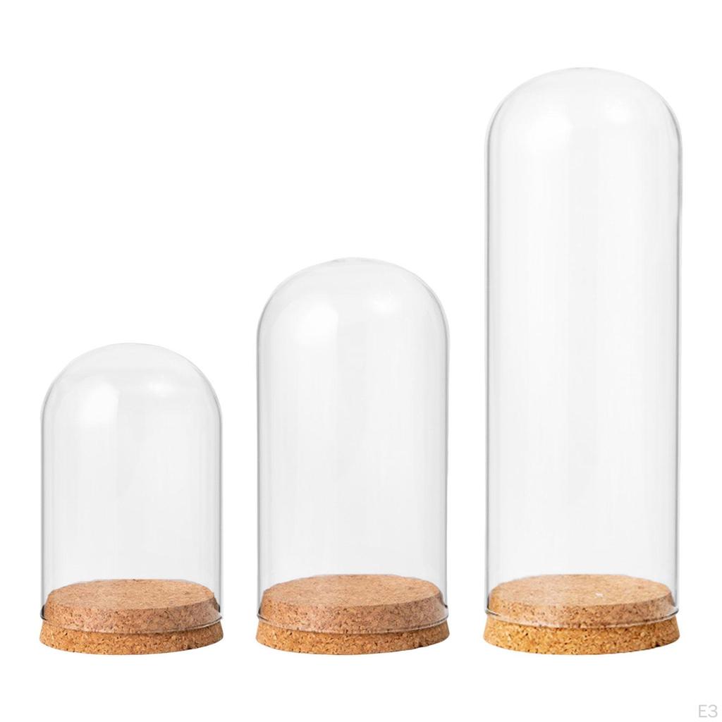 Cloche Bell Jar Display Dome Case with Wood Base Container Centerpieces Cover