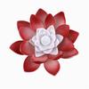 LED Lights, Battery Driven Flower Lights, Night Lights, Buddha Lights, Garden Lights, Parties, Wedding Decorations