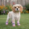 4pcs/set Breathable Anti-Slip Dog Boots Adjustable Dog Paw Protectors Pet Sneakers  Training