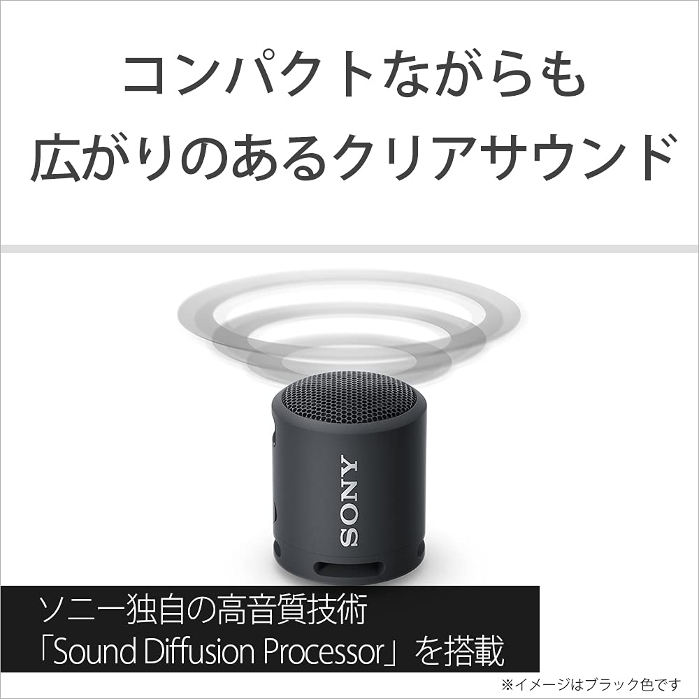 Sony Portable Speaker BC Black Waterproof and Dustproof Up To 16 Hours of Battery Life SRS-XB13 (2021 Model), IP6,