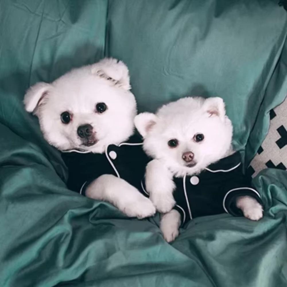 Soft Pet Pajamas Breathable Dog Pajamas Lightweight Cat Pajamas