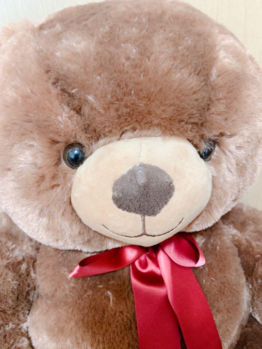 [USED] Large Teddy Bear Plush Toy, Chocolate
