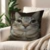 Funny Cat Memes cushion cover For Pillow Printing Sofa Decoration Home Car Room Coffee Shop Office Nordic Simplicity