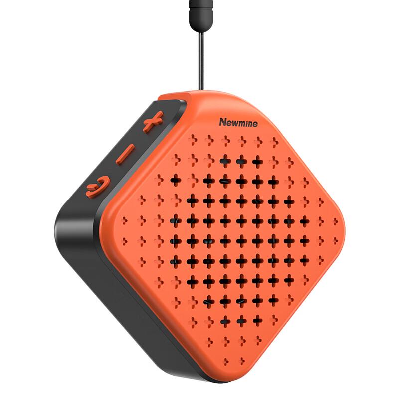 Newman Portable Bluetooth Speaker CN Plug (adapter Included)