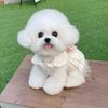 Easy To Wear Lovely Pet Princess Skirt with Bowknot 4 Size Cat Dresses Breathable Washable Shiny Pet Clothing Cat Accessories