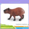Pvc Capybara Animal Model Set With Static Tapir Figures For Childrens Educational Play