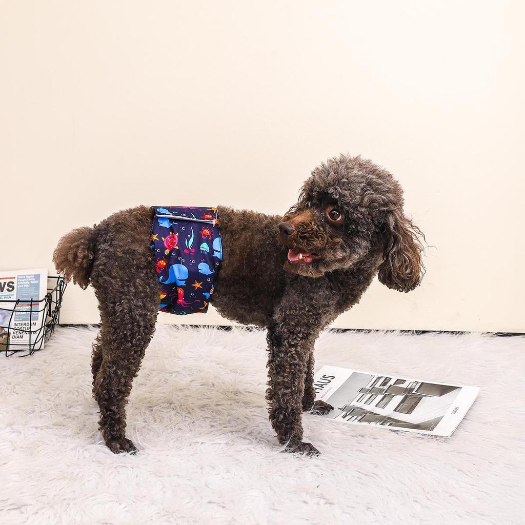 "Washable Male Dog Physiological Pants for Home & Outdoor Use"