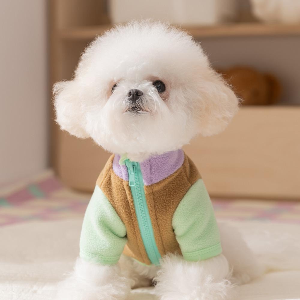 Autumn and winter pet clothes simple contrasting colors BB two-legged fleece jacket small dog Bichon teddy dog clothes