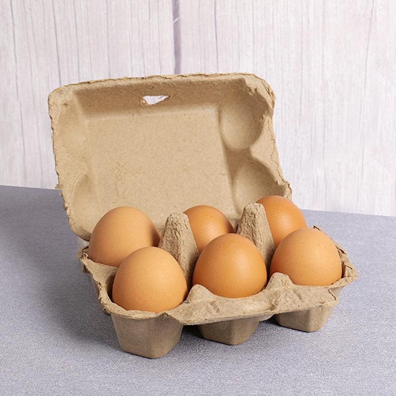 10 Stück Native Eierverpackungsbox Eierablage Zellstoff Eierablage Eierbehälter Erde Eierverpackungsbox Für Familienbauernhof Markt Camping