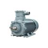 Anhui Wannan Explosion-Proof YBX4 Series Full Copper Coil Three-Phase Motor