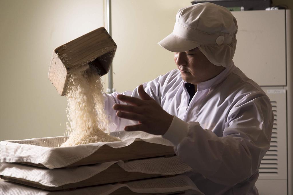 Kojiya Honten Yogurtia S (Tanika Electric) Glass Pot and 3-Pack of Dried Rice Koji