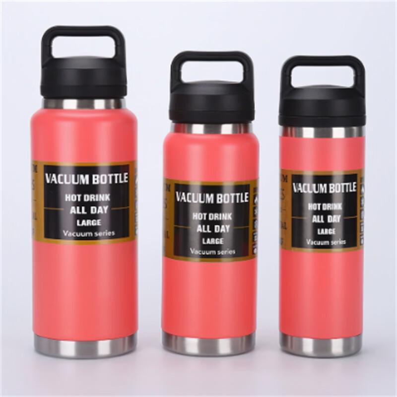 Ally 304 Stainless Steel Insulated Sports Water Bottle