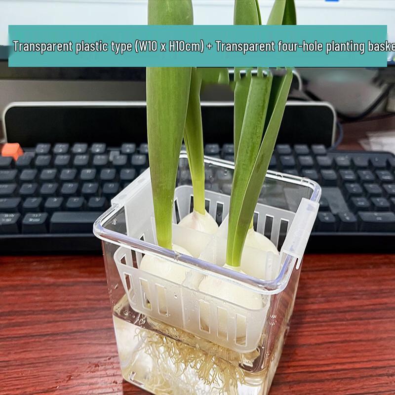 Acrylic Hydroponic Pot with Planting Basket