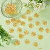 80Pcs Alloy Pendants Heart with Tree of Life Charms Golden 19x17x1mm
