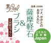 Towa Sangyo Sofeel SF Natural Pumice Brush (1 Brush)