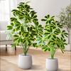 Plastic Material Fake Palm Plants Large Size Plastic Shrub Leaves  For Outdoor Decor