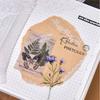1pack/20pcs Ins Style Pure White Long Lace Stickers, Gentle Retro Style,DIY Handmade Album Scrapbooking Decorative Supplies