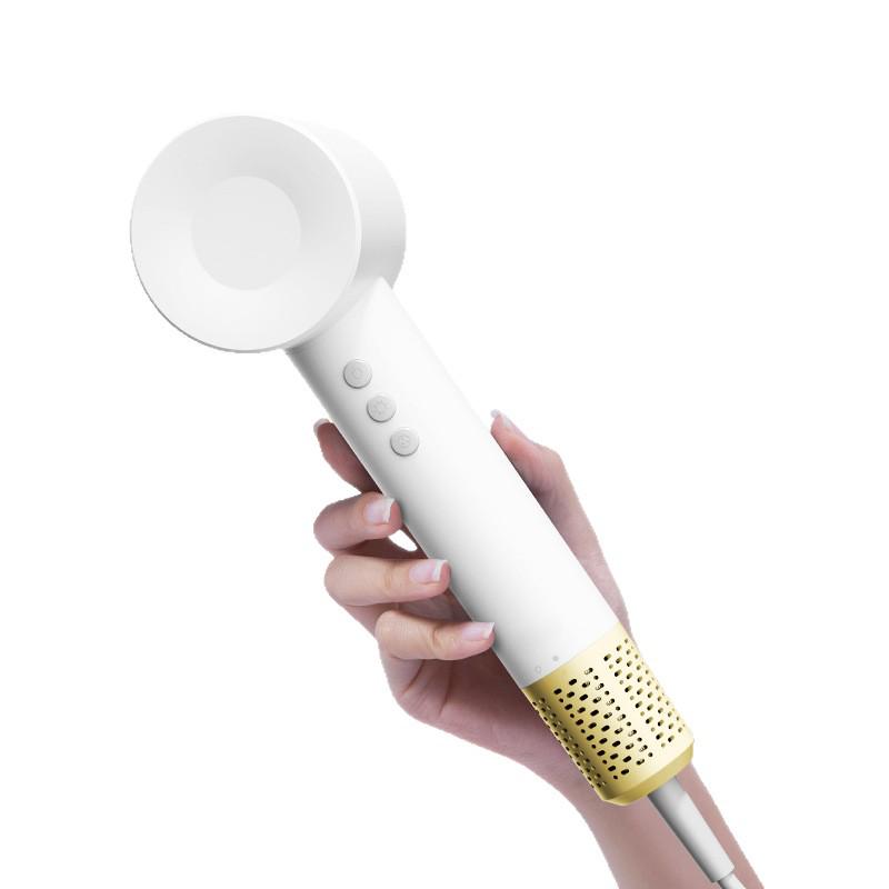 High-Speed Ionic Hair Dryer with Brushless Motor, 110,000 RPM