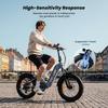 IScooter EB8 Elektrofahrrad 48V15Ah Akku 750W Motor City Elektrofahrräder 20 Zoll Reifen Faltbares E-Bike