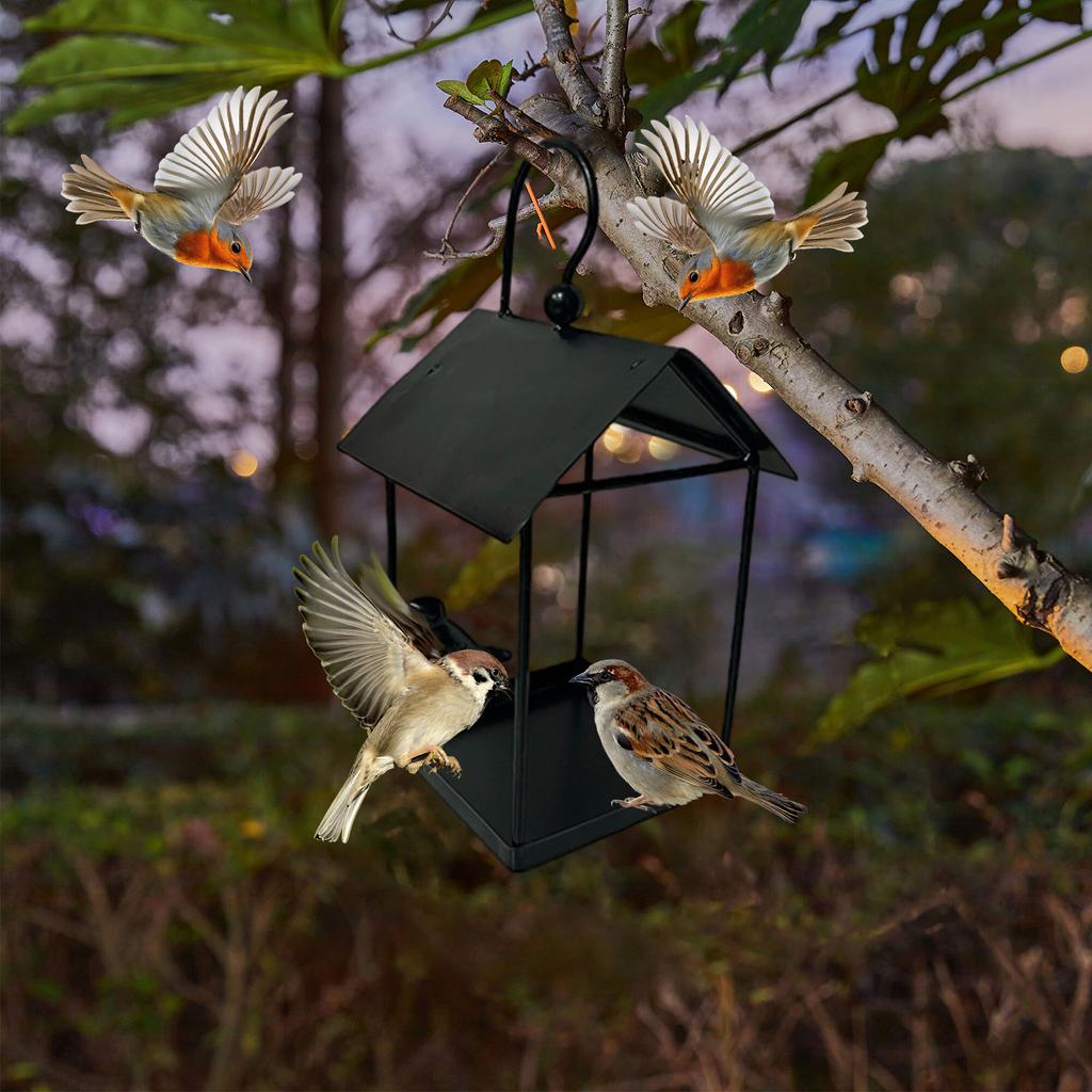 Wrought Iron Bird Feeder, Bird,proof Feeding Hanging Outdoor Decoration For Gardens