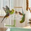Adjustable Parrot Rotating Windmill Perch Toy Parrot Standing Platform  Indoor Play