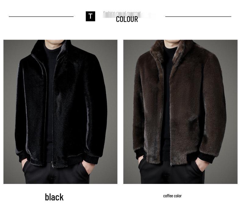 2025 Men's Winter Mink Fur Jacket: Stand Collar, Stylish & Casual Coat for Young and Middle-Aged Men