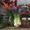 Dulton Glass Vase Constriction Large Size CK1878-30