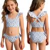 Girls Two Piece Swimsuit Set Floral Print Ruffle Trim Tankini Top and Bikini Bottom Swimwear for Kids Summer Beach Pool