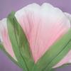 PE Foam Giant Photography Props Large Size Fake Flowers NEW Window Display  Garden
