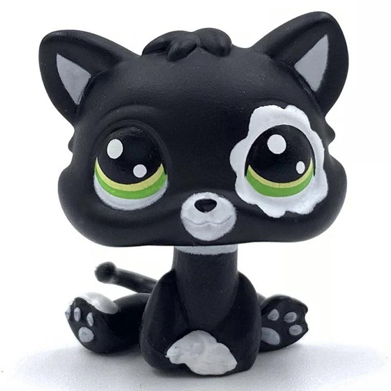 Rare Littlest Pet Shop Lps Toy Toy Mini Stands Short Hair Kitten Old Figures Collection Al Bobble Head Toy