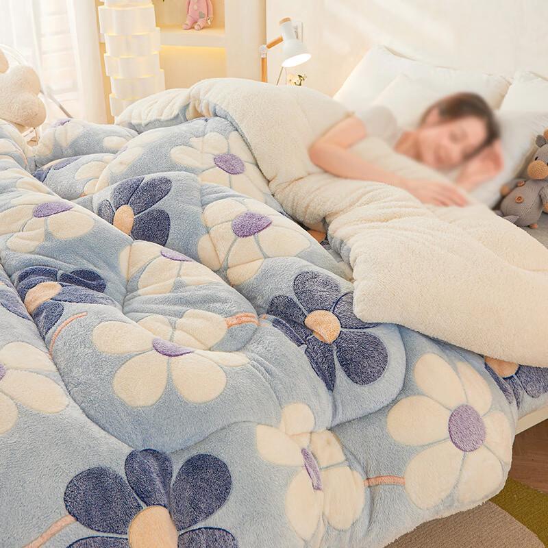 

HEIXIE Double-Sided Fleece Thickened Winter Quilt 180x220cm, 7 catties