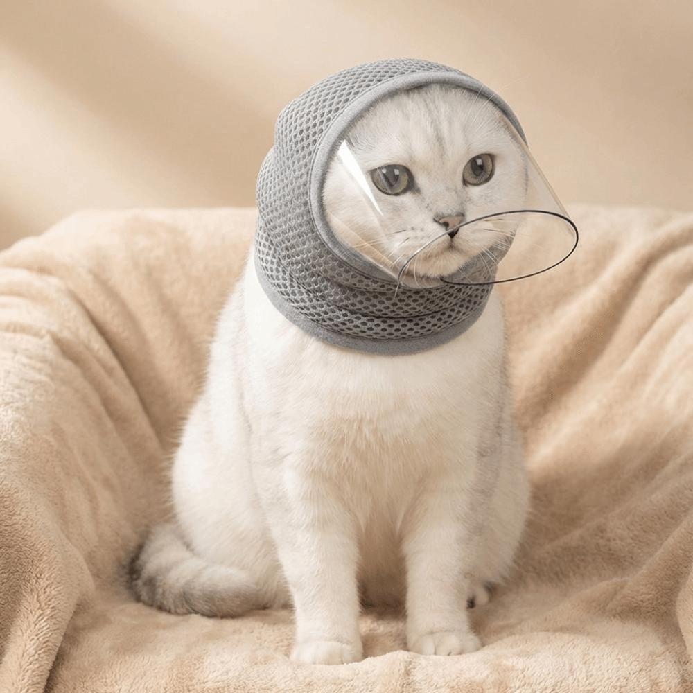 מסכה שקופה למניעת ליקוק עם שרוך מתכוונן כיסוי ראש לחתלתול הגבלת חתול