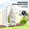 Mini Greenhouse, Portable Green House with Roll-Up Door, PE Base, Small Greenhouse, 100 x 100 x 195 cm, White