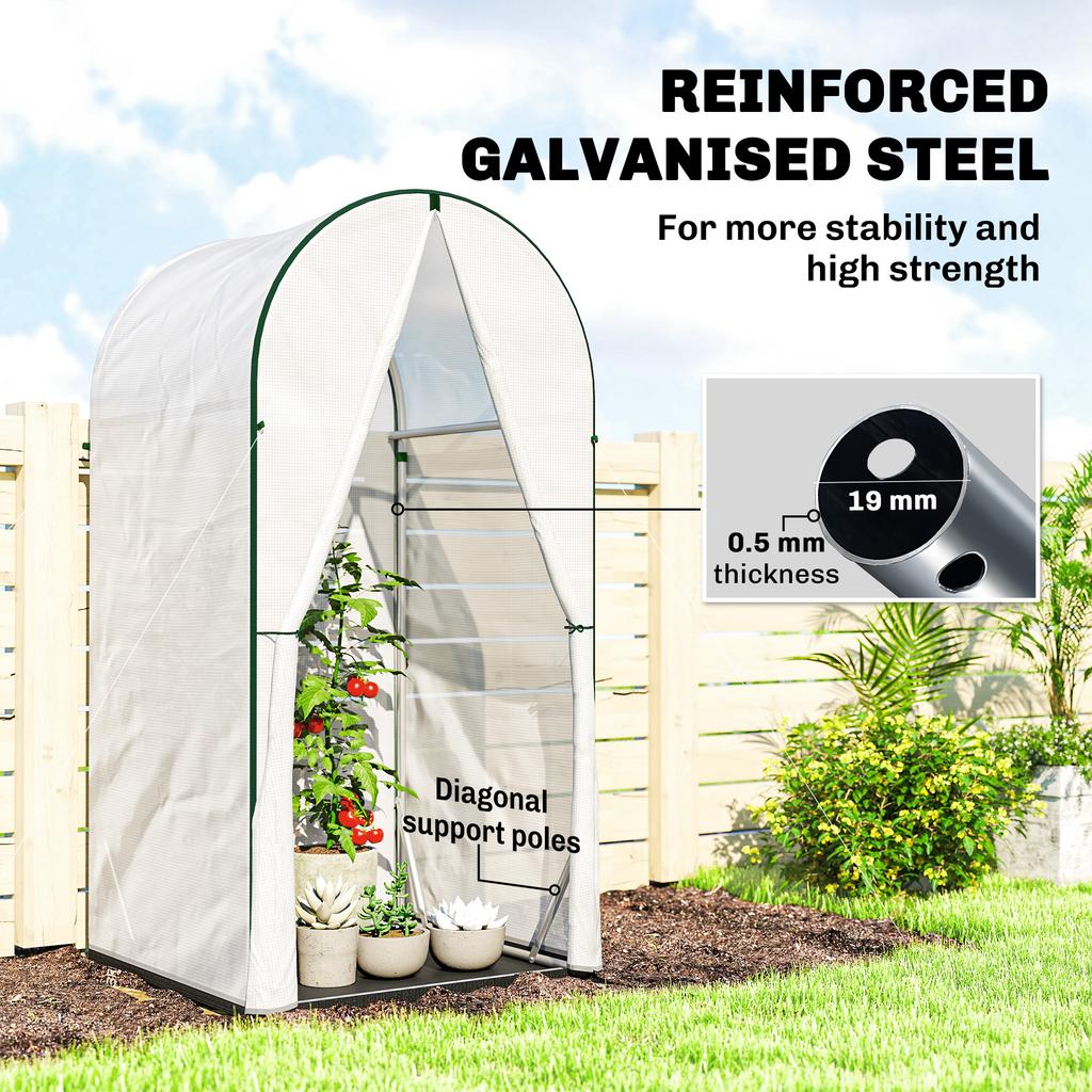 Mini Greenhouse, Portable Green House with Roll-Up Door, PE Base, Small Greenhouse, 100 x 100 x 195 cm, White