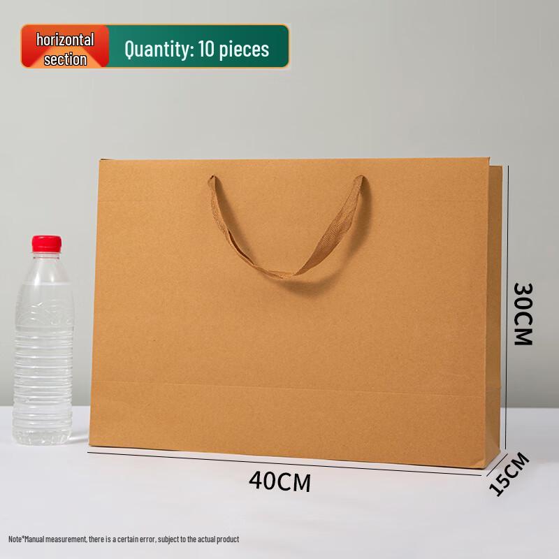 Kraft Paper Gift Bags with Handles (10 Pack)