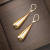 Pair of Long Teardrop Earrings, Women's Stainless Steel Jewelry, Accessories for Daily Wear Party Accessories, Minimalist Jewelry, Elegant Earrings