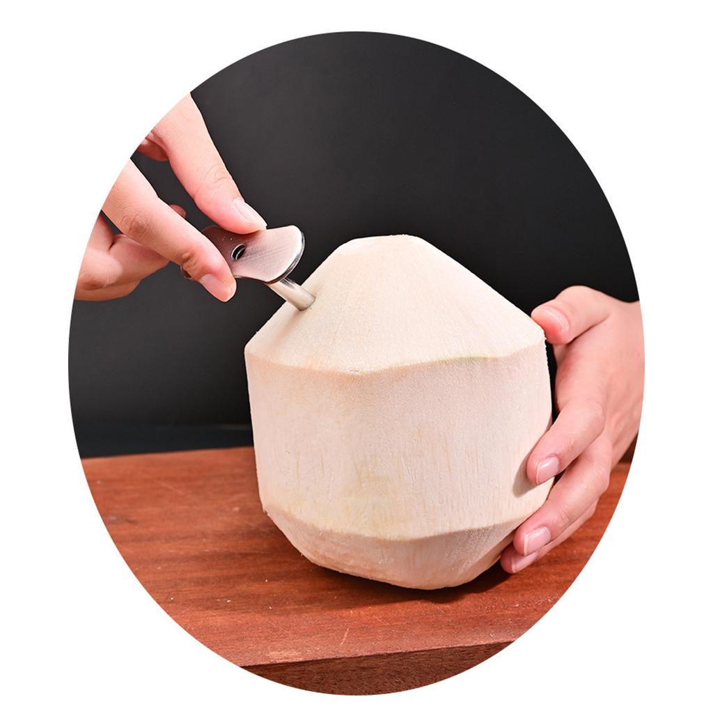Sicheres und zuverlässiges Kokosnusswerkzeug Effizientes Kokosnussöffnungswerkzeug mit ergonomischem Griff und lebensmittelechtem Edelstahl
