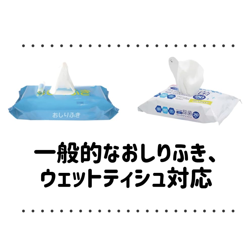 Wet Tissue Case Skyline GT-R (BNR34) (Purple)