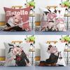 Fate A-Apocrypha AstolfoS Pillow Case Plush Fabric Soft Double Sided Print Sofa Cushion Cover Throw Pillow Covers
