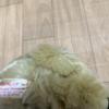 [USED] Shinada Company Stuffed Toy Teddy Bear