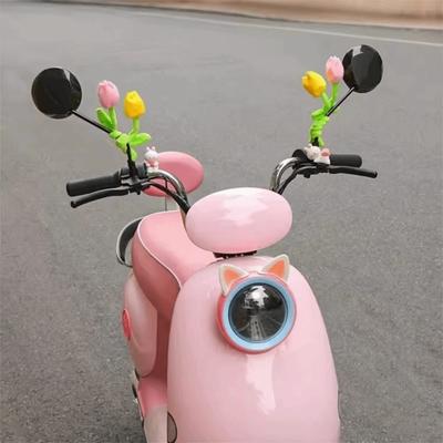 Pentru motociclete – Accesorii pentru motociclete